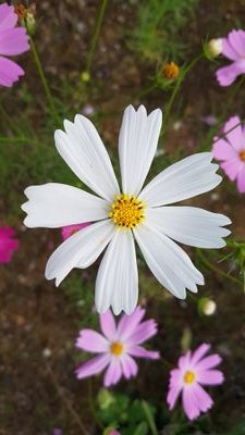 matrixplan's profile picture. 