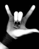 foxy_sprinkles's profile picture. 