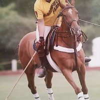 David Peters (@davepeters61) 's Twitter Profile