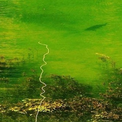 sesteph6's profile picture. What