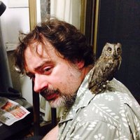 GuidoPax (@guidopax) 's Twitter Profile