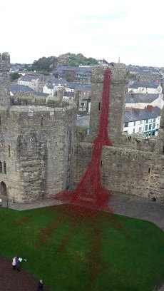 DannyAlti's profile picture. 