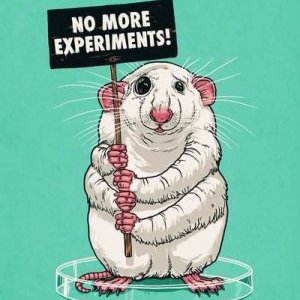 animaltesting04's profile picture. 