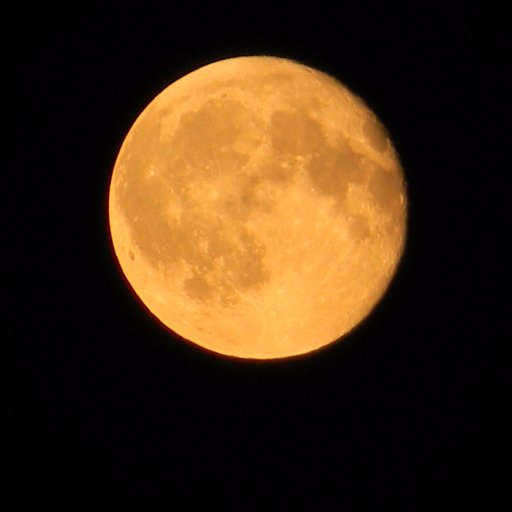 Sorrowful_Wife's profile picture. 