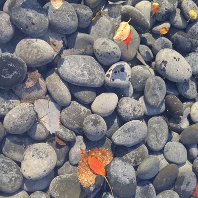 livseymour4's profile picture. Who knows