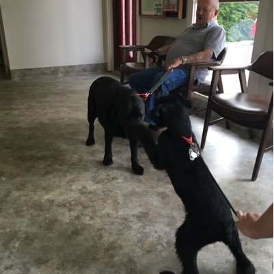 eaglestrong123's profile picture. 