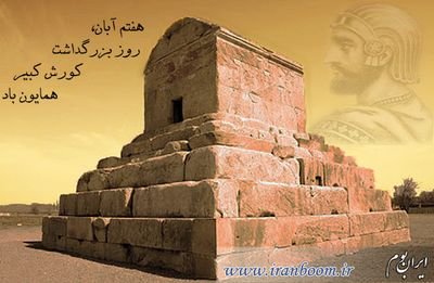 alitucut's profile picture. 