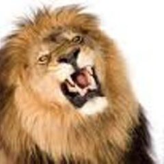 LionsRoarTM's profile picture. We are Toastmasters Club #4905.  28 years of continuous meeting.  Our Club mentors and produces award winning speakers. https://t.co/3z2YUt8Lkq