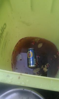 roberttillsman's profile picture. 