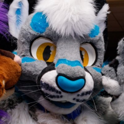 SabotageLynx's profile picture. Party cat looking to spread some love! And maybe some sparkles, too. Shake yer tail nubbin!'