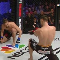 Shane Shaolin Campbell (@shaolinstylemma) 's Twitter Profile
