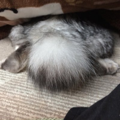 ミズタカさんのプロフィール画像