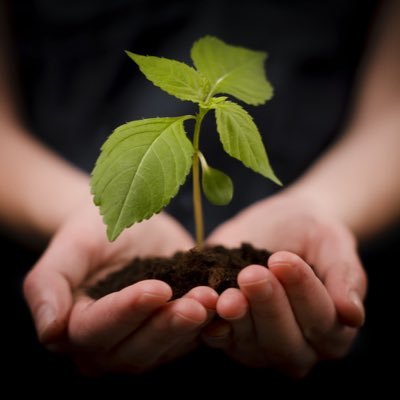 gregoryhickey's profile picture. Elementary teacher, purveyor of necessary sarcasm, happy husband