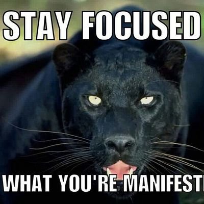 trying to help people wake up and take thier souls back . conciseness is coming are you ready . practicing vegan