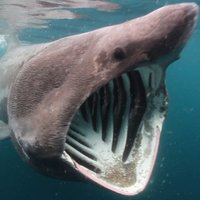 SciTerms (@scientificwords) 's Twitter Profile