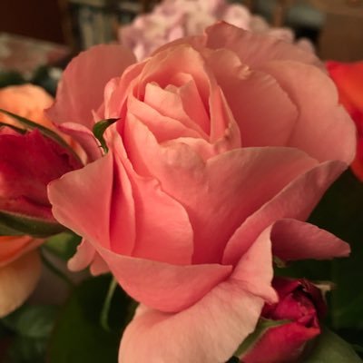 MarinaBacchetti's profile picture. Librarian and records manager. San Francisco native who loves classical and jazz music and visual arts. Art collector.