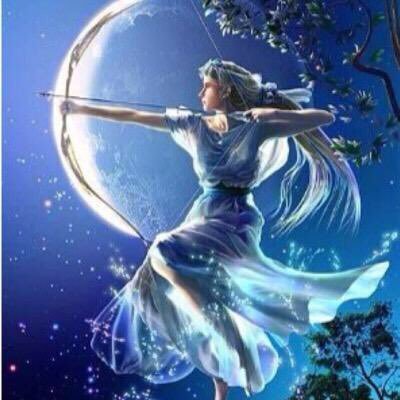 Leoleo731's profile picture. #olympus #ÉmondaALR5 #kiteboading #kitesurfing #cycling #battleshipcraft #NavalCraft #obgy