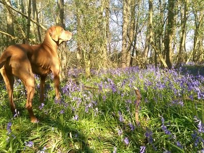 Timeforaswift1's profile picture. Busy doing nothing.