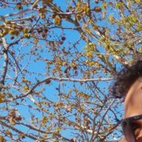 José L. Álvarez (@jlalvarezcedena) 's Twitter Profile