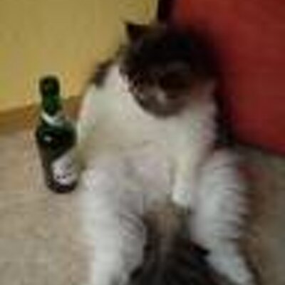 _kleine_maus_'s profile image