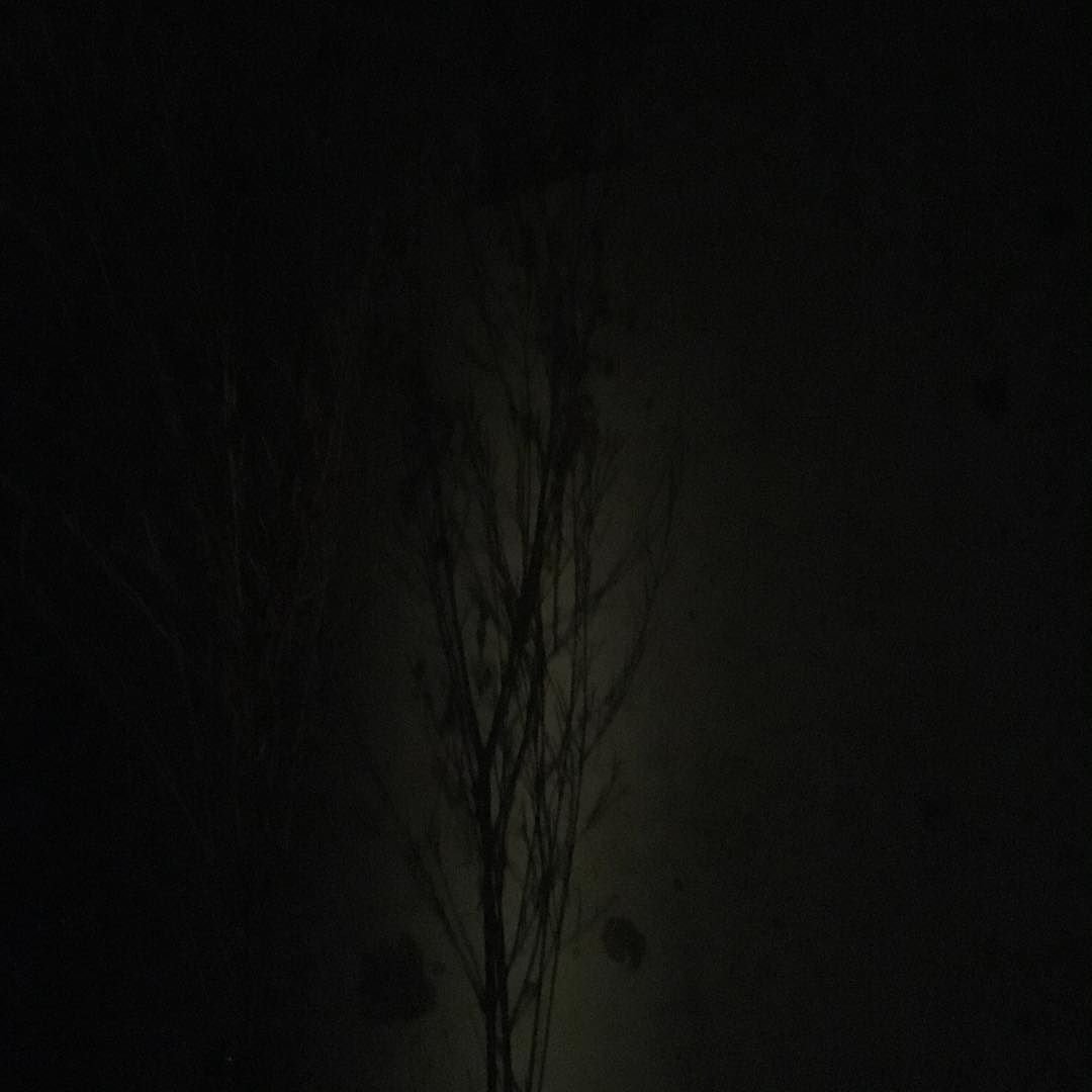 blackberryocto's profile picture. Music, Code, Farming, Critical Theory, Game Theory