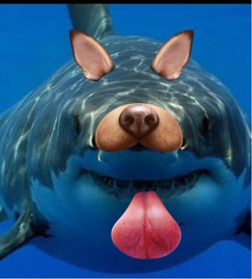 ScottjMcAtee's profile picture. Politics, scuba, funny, sharks, life, and God