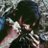 Profile Picture of Daryl Dixon (@BadassCrossbow) on Twitter