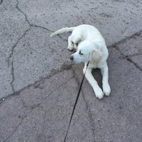 michellew (@mcobw) 's Twitter Profile