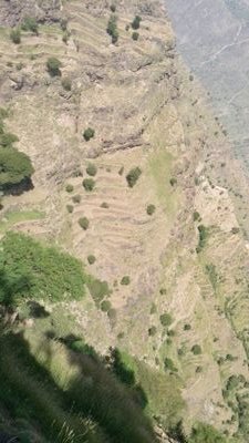 AlmathCom's profile picture. 