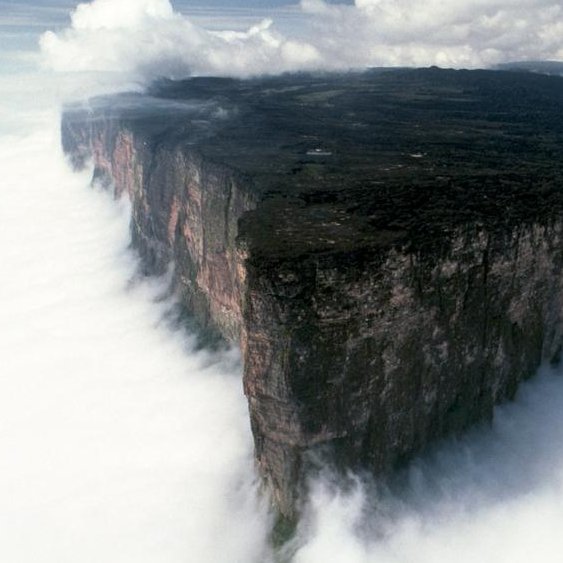 PacaraimaPeak's profile picture. 