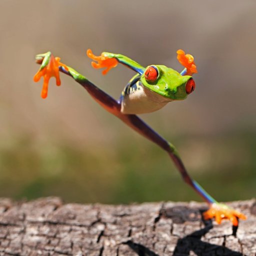 AttemptsAtJokes's profile picture. Jokes made by finding questions & answers from tweets using Temboo & Processing | first credit =question | second credit =answer | favorites for highlights| bot