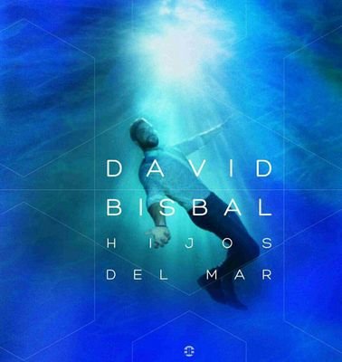 seguidora del mas bello encantador y pedazo artista ,david bisbal