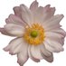 ВИСТА (@Shkola_Vista) Twitter profile photo ВИСТА (@Shkola_Vista) Twitter profile photo