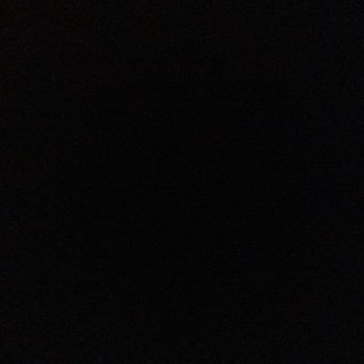 petproject142's profile picture. 