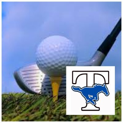 Taylor HS Golf Team Profile