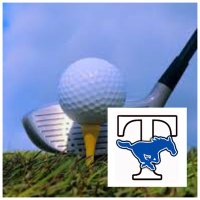 Taylor HS Golf Team(@Golf_THS) 's Twitter Profile Photo