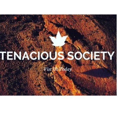 We are the you inside and outside of the gym! visit us today! Instagram Tenacious_society follow us on Facebook! https://t.co/uTQG9ww5iH