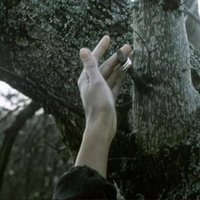 gary phillips (@pixiejuniper) 's Twitter Profile