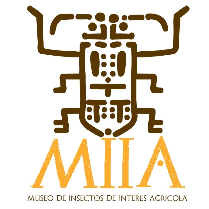museodeinsectos's profile picture. Creado en 1938, con el objeto de apoyar la investigación, la docencia en el área entomológica y estudio de los agroecosistemas, sus relaciones y biodiversidad.