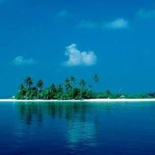 RRRRRRAJPUT's profile picture. ALWAYS LEARN AS A NEW THING.