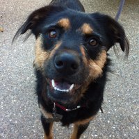 Jon Skinner (@jonjskin) 's Twitter Profile