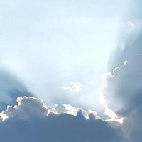 Vane Sure (@vanesure) 's Twitter Profile Photo