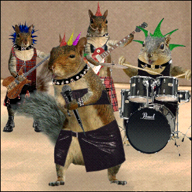 squirrelsongs's profile picture. About a Squirrel