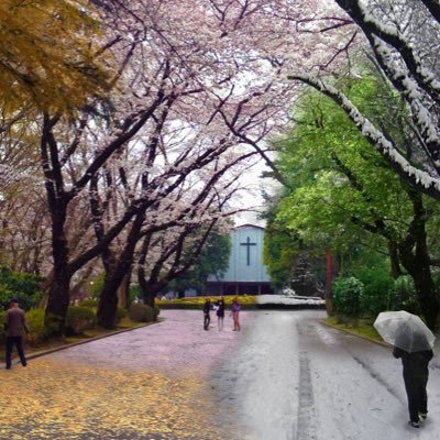 高3/勉強垢はフォロバ100%/東大、九大/世界史選択/バド部/最近りきさんの勉強法始めたら、今の時点でセンター英語の点数が182まであがりました!! 試してみてよかったです!!