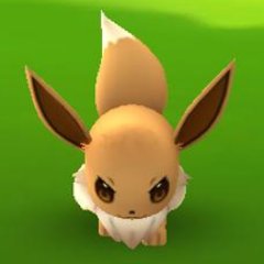 MetalFoxy's profile picture. Wembley参戦組。 キツネを調べたら「～綱:哺乳綱 Mammalia、目:ネコ目（食肉目）Carnivora、科:イヌ科 Canidae～」と言う事なので、ペットで犬と猫を飼っている事から適当に [ foxy ] と…（笑）