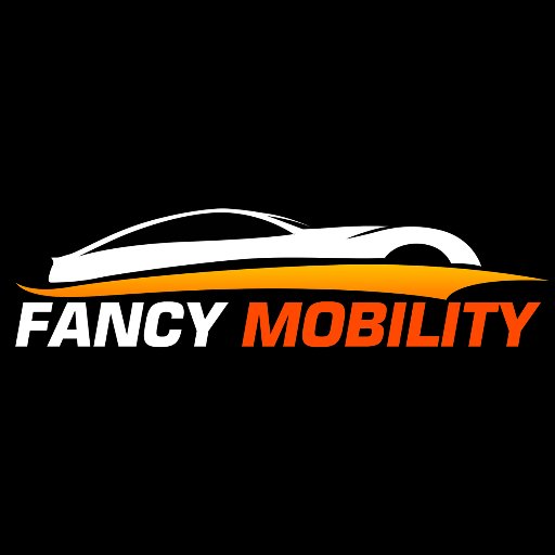 Fancy Mobility - Forever Drive Safely. Premium car organizers for a safer, clutter-free drive.
