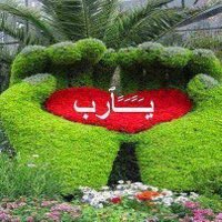 Mohamed Sabry (@mohamed83810307) 's Twitter Profile