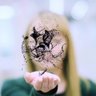sabinehauert's profile picture. Engineering swarms across scales - Professor of Swarm Engineering @BristolUni - President @Robohub - Exec. Trustee @AIhuborg. Prev. @EPFL_en & @MIT.