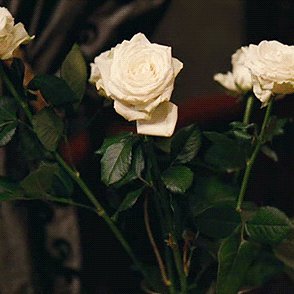 shutupblzz's profile picture. 