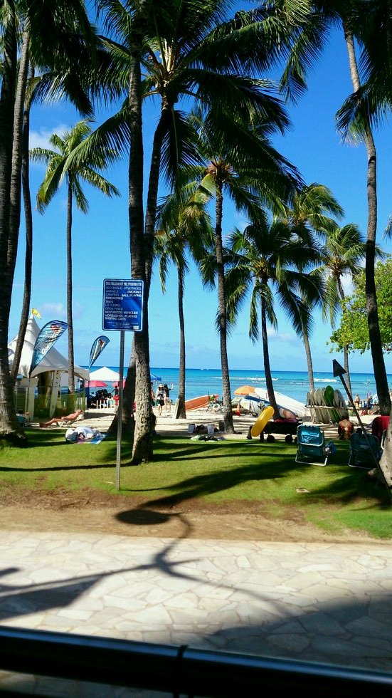 yna0824's profile picture. 